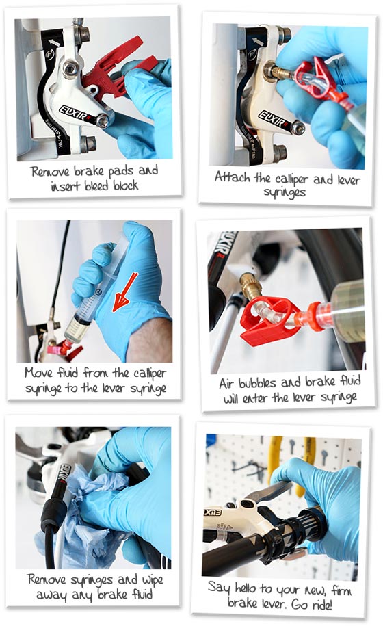 Steps involved in Avid bleed procedure.